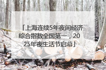 上海连续5年夜间经济综合指数全国第一，2025年夜生活节启幕