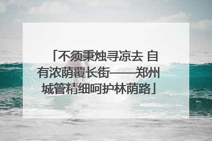 不须秉烛寻凉去 自有浓荫覆长街——郑州城管精细呵护林荫路
