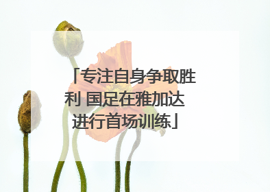 专注自身争取胜利 国足在雅加达进行首场训练
