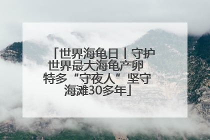 世界海龟日丨守护世界最大海龟产卵 特多“守夜人”坚守海滩30多年