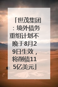 世茂集团：境外债务重组计划不晚于8月29日生效，将削债115亿美元