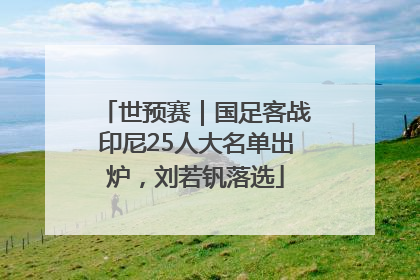 世预赛｜国足客战印尼25人大名单出炉，刘若钒落选
