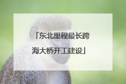 东北里程最长跨海大桥开工建设