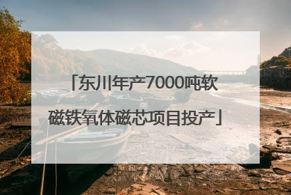 东川年产7000吨软磁铁氧体磁芯项目投产