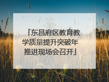 东昌府区教育教学质量提升突破年推进现场会召开