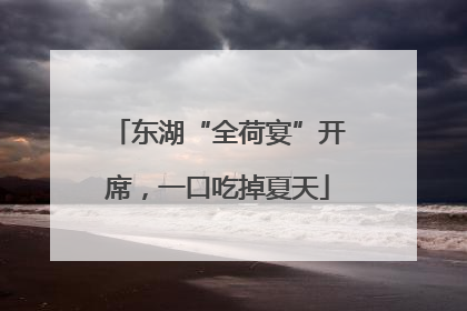 东湖“全荷宴”开席，一口吃掉夏天