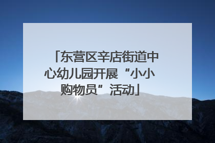 东营区辛店街道中心幼儿园开展“小小购物员”活动