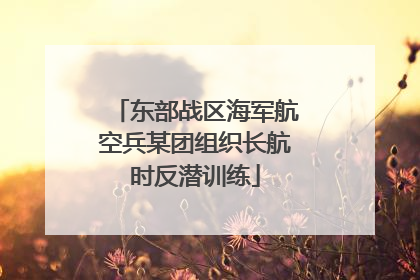 东部战区海军航空兵某团组织长航时反潜训练