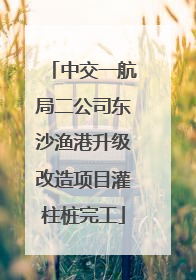 中交一航局二公司东沙渔港升级改造项目灌柱桩完工
