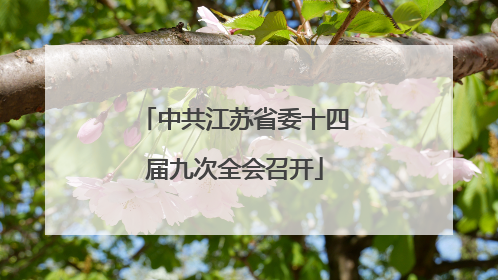 中共江苏省委十四届九次全会召开