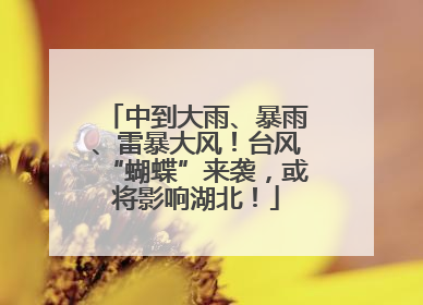 中到大雨、暴雨、雷暴大风！台风“蝴蝶”来袭，或将影响湖北！