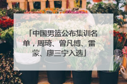中国男篮公布集训名单，周琦、曾凡博、雷蒙、廖三宁入选