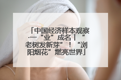 中国经济样本观察·一“业”成名丨“老树发新芽”！“浏阳烟花”燃亮世界