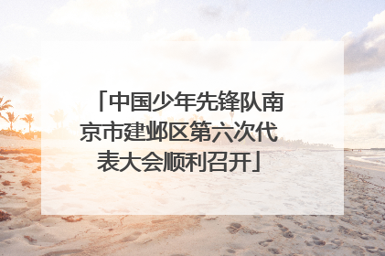 中国少年先锋队南京市建邺区第六次代表大会顺利召开