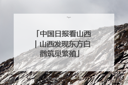 中国日报看山西｜山西发现东方白鹳筑巢繁殖