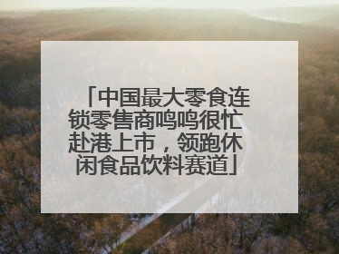 中国最大零食连锁零售商鸣鸣很忙赴港上市，领跑休闲食品饮料赛道