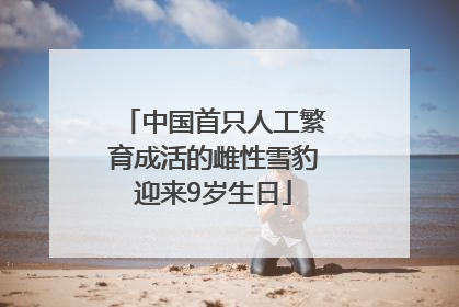中国首只人工繁育成活的雌性雪豹迎来9岁生日