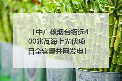 中广核烟台招远400兆瓦海上光伏项目全容量并网发电