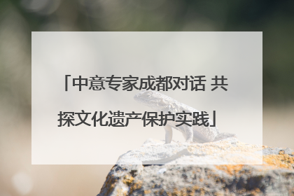 中意专家成都对话 共探文化遗产保护实践