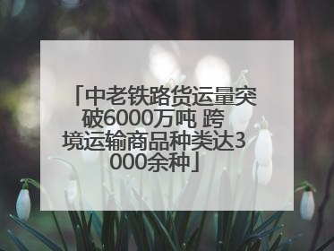 中老铁路货运量突破6000万吨 跨境运输商品种类达3000余种