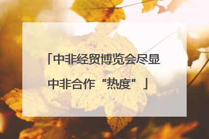 中非经贸博览会尽显中非合作“热度”
