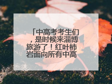 中高考考生们，是时候来淄博旅游了！红叶柿岩面向所有中高考考生免门票