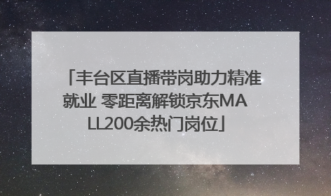 丰台区直播带岗助力精准就业 零距离解锁京东MALL200余热门岗位