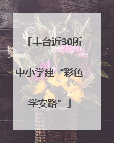丰台近30所中小学建“彩色学安路”