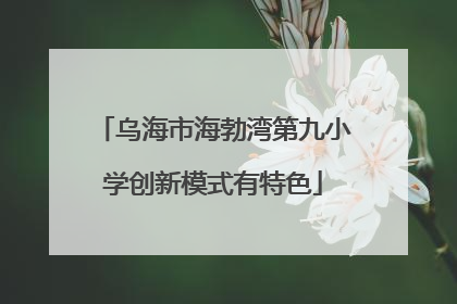 乌海市海勃湾第九小学创新模式有特色