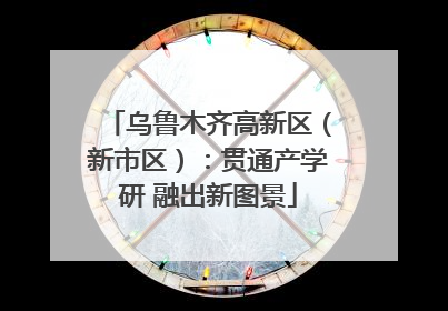 乌鲁木齐高新区（新市区）：贯通产学研 融出新图景
