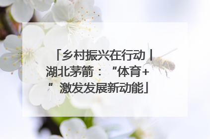 乡村振兴在行动丨湖北茅箭：“体育+”激发发展新动能