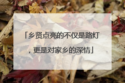 乡贤点亮的不仅是路灯，更是对家乡的深情