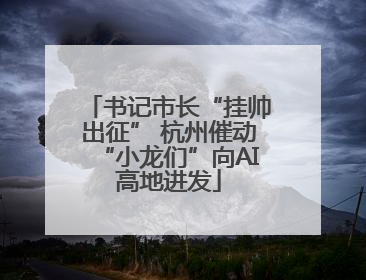 书记市长“挂帅出征” 杭州催动“小龙们”向AI高地进发