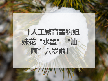 人工繁育雪豹姐妹花“水墨”“油画”六岁啦