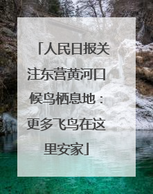 人民日报关注东营黄河口候鸟栖息地：更多飞鸟在这里安家