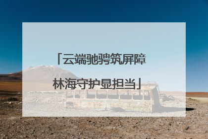 云端驰骋筑屏障 林海守护显担当