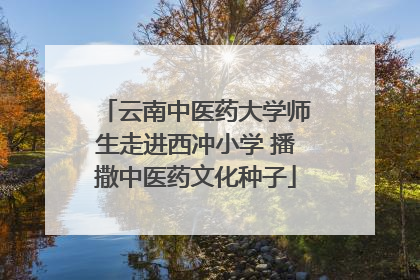 云南中医药大学师生走进西冲小学 播撒中医药文化种子