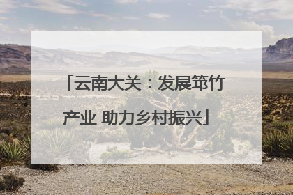 云南大关：发展筇竹产业 助力乡村振兴