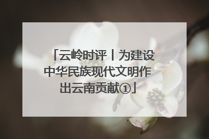 云岭时评丨为建设中华民族现代文明作出云南贡献①