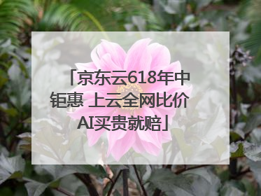 京东云618年中钜惠 上云全网比价 AI买贵就赔