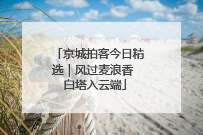 京城拍客今日精选｜风过麦浪香 白塔入云端