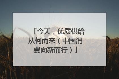 今天，优质供给从何而来（中国消费向新而行）