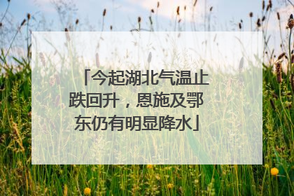 今起湖北气温止跌回升，恩施及鄂东仍有明显降水