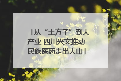 从“土方子”到大产业 四川兴文推动民族医药走出大山