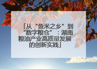 从“鱼米之乡”到“数字粮仓”：湖南粮油产业高质量发展的创新实践