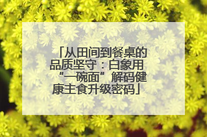 从田间到餐桌的品质坚守：白象用“一碗面”解码健康主食升级密码