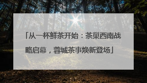 从一杯鲜茶开始：茶巢西南战略启幕，蓉城茶事焕新登场