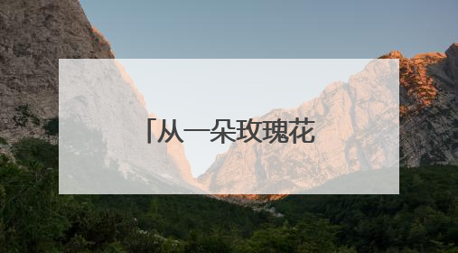 从一朵玫瑰花出发，这群年轻人从一花一叶走进东方哲学