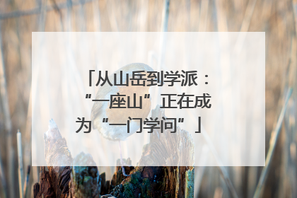 从山岳到学派：“一座山”正在成为“一门学问”
