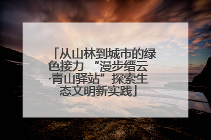 从山林到城市的绿色接力 “漫步缙云·青山驿站”探索生态文明新实践